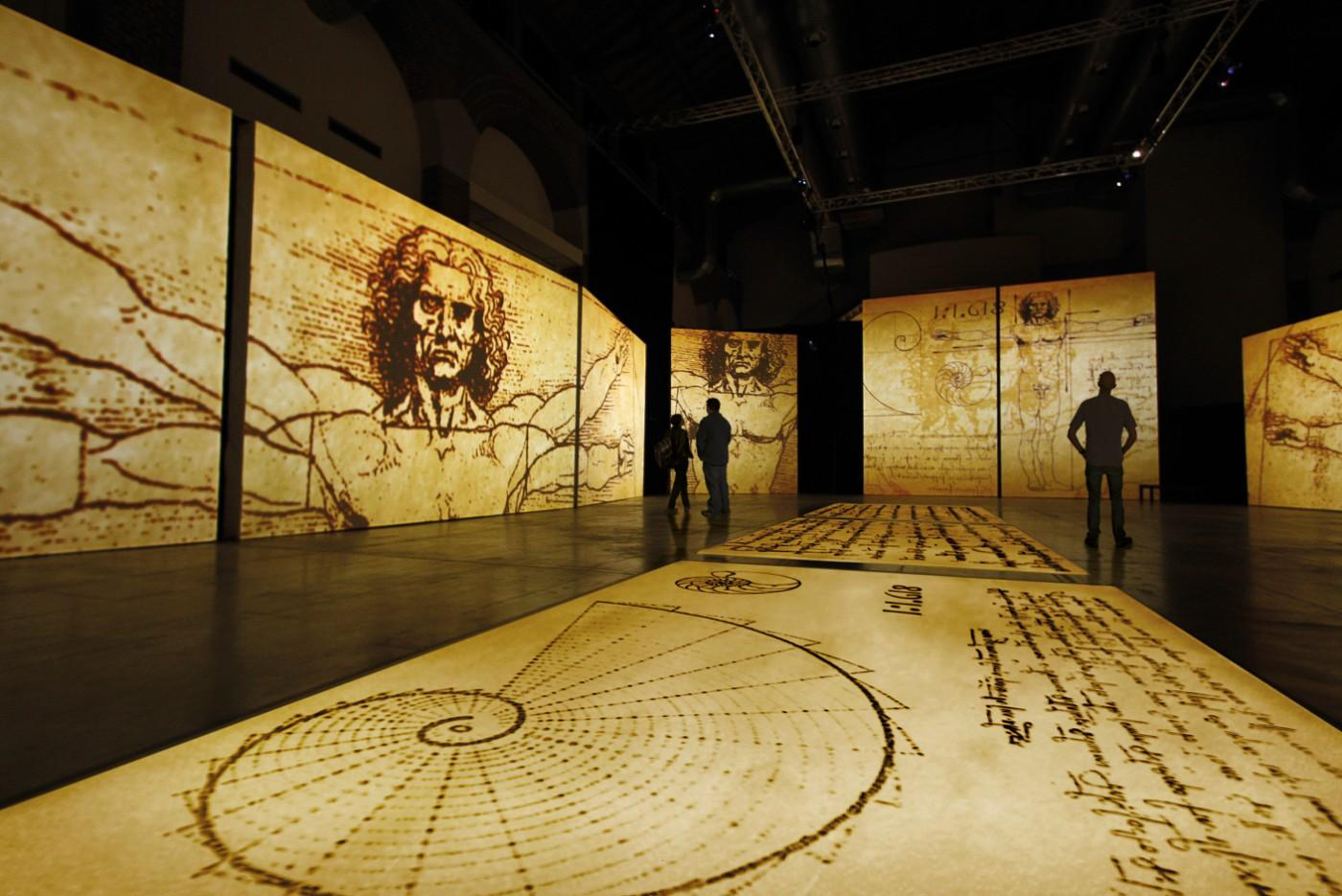 leonardo da vincidmns